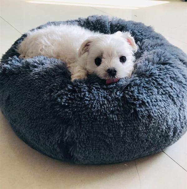 Cama Fofis para cães e Gatos