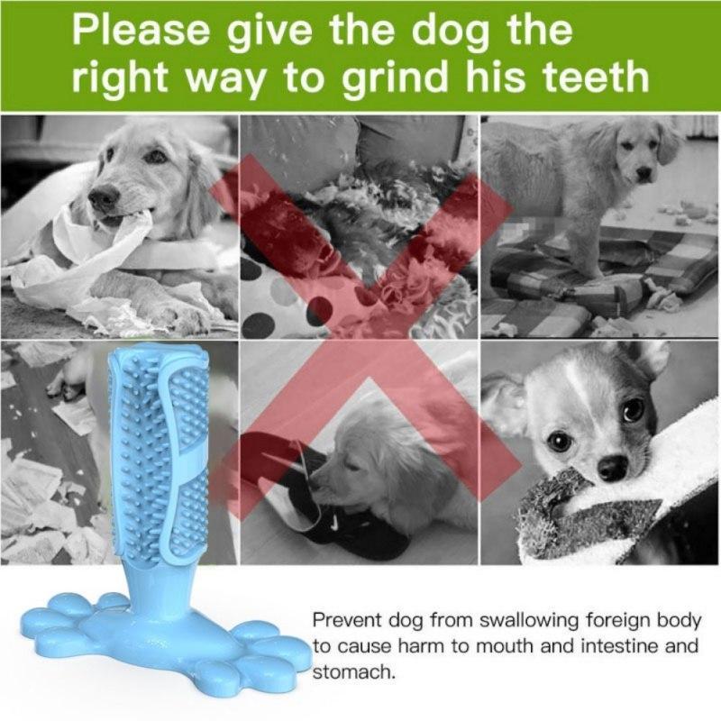 Escova de dentes Para cães 2019