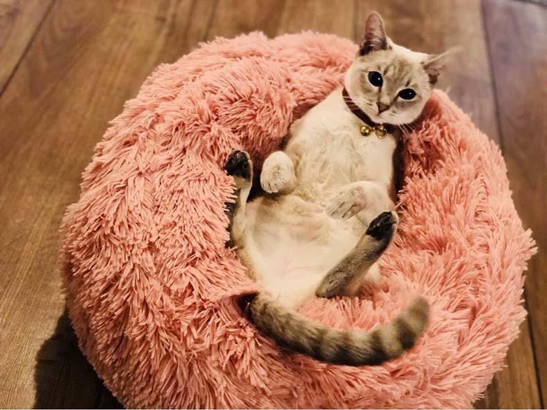 Cama Fofis para cães e Gatos