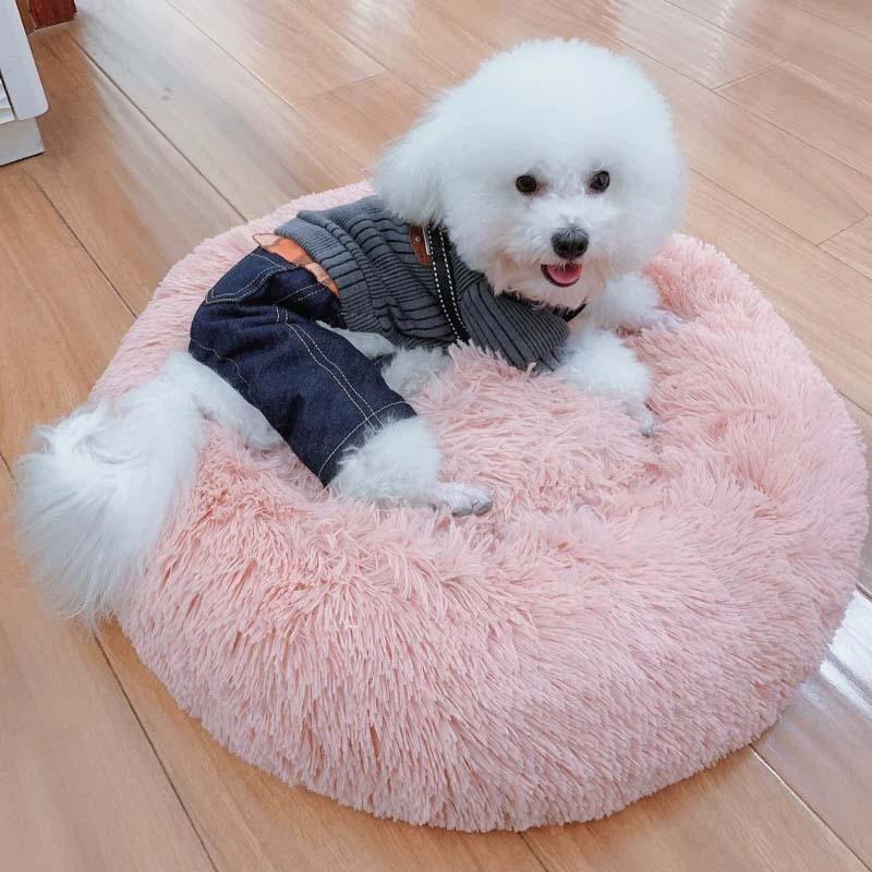 Cama Fofis para cães e Gatos