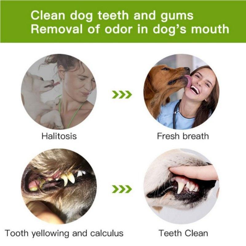 Escova de dentes Para cães 2019