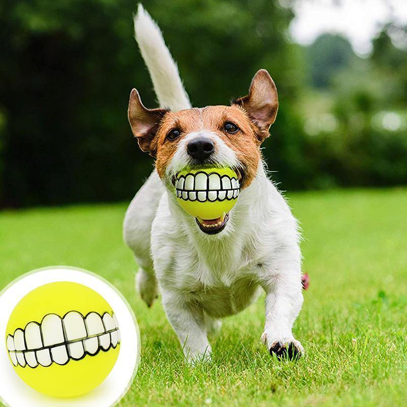 Bola para animais de estimação com dentes engraçados — 2 unidades