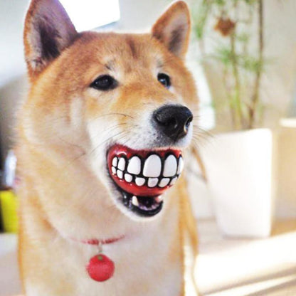 Bola para animais de estimação com dentes engraçados — 2 unidades